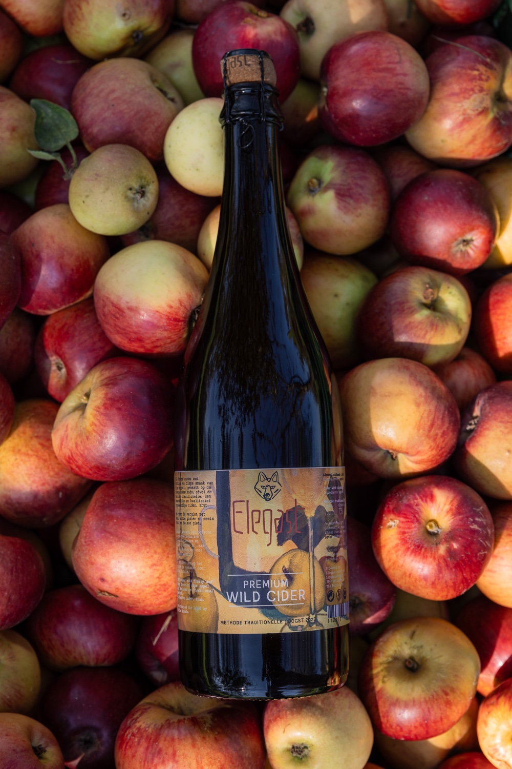 Elegast — apples 1626