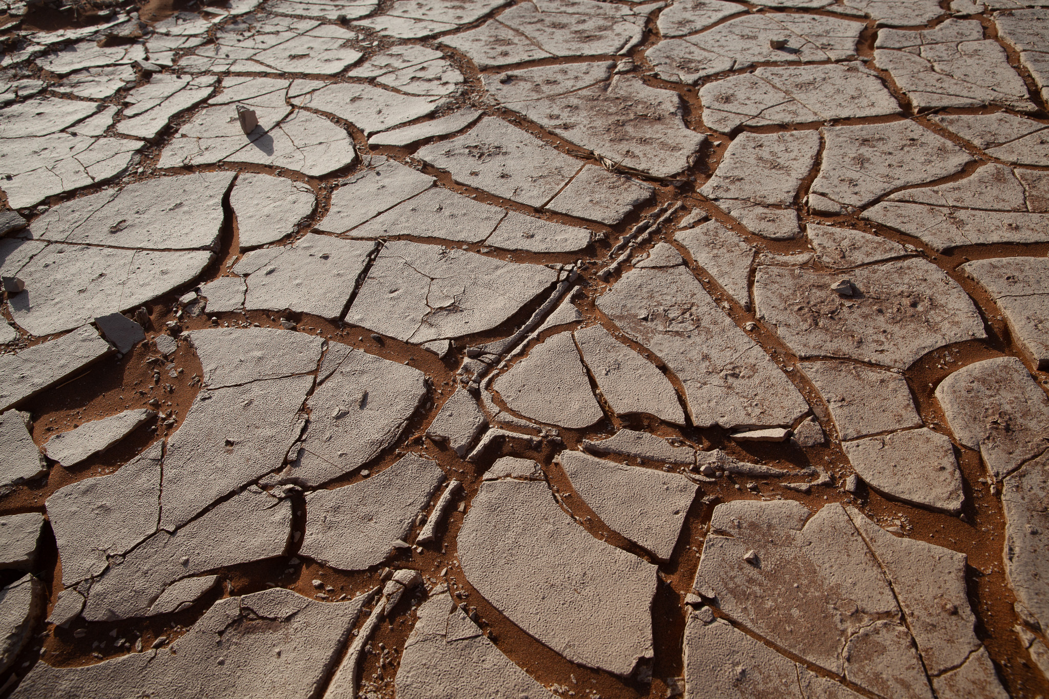 Namibia — cracked earth